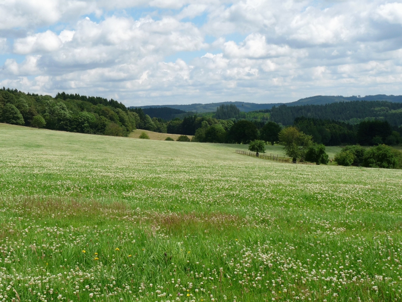 Landschaft bei Gummersbach Unnenberg