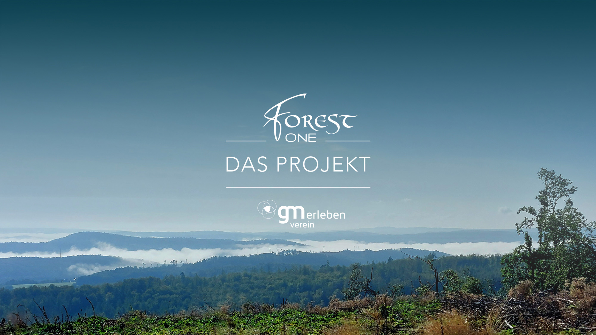 FOREST ONE® - Das Projekt